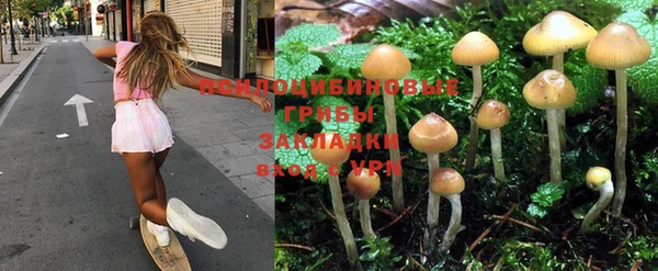 spice Алексеевка