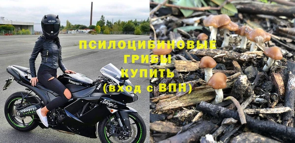 герыч Алексин